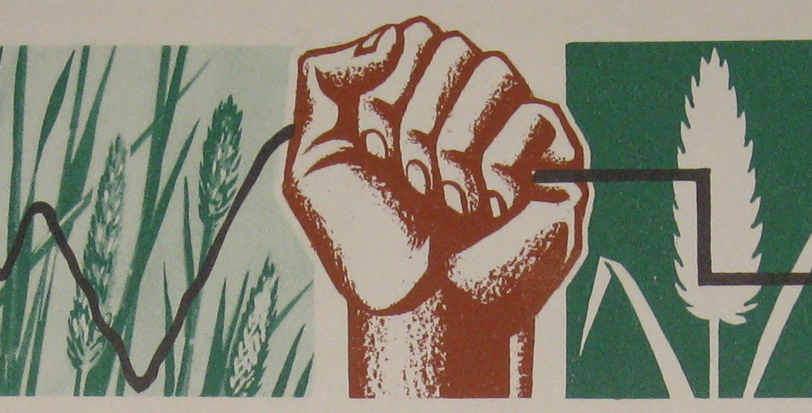 Caltech's Fabulous Weather Factory: 1949-71