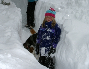 Ask an Expert: How Snow Days Happen